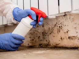 Forensic Mold Investigation